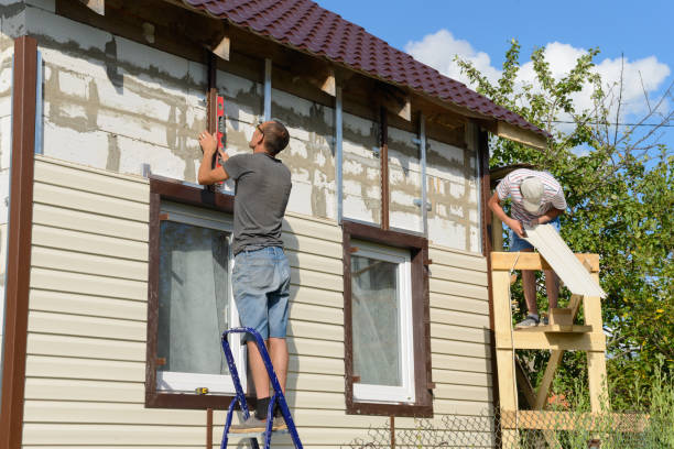 Best Historical Building Siding Restoration  in Lakeview, OH